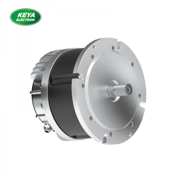 胜游网页版页面登录_胜游（中国）215系列48V 4000W 1500RPM